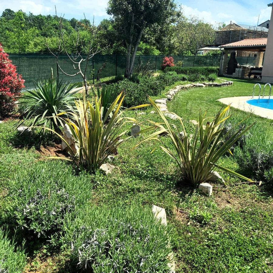 Villa Malini Grožnjan Exteriér fotografie