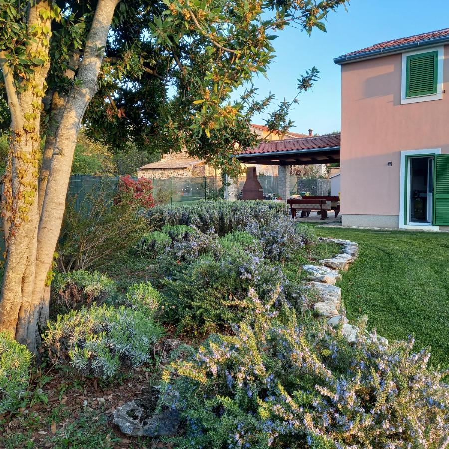 Villa Malini Grožnjan Exteriér fotografie