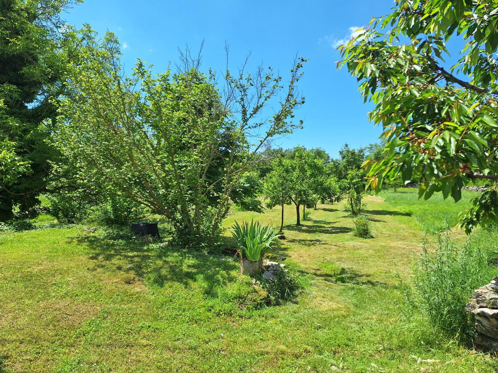 Villa Malini Grožnjan Exteriér fotografie